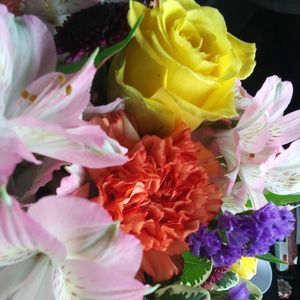 Meet your Posher, Shelly